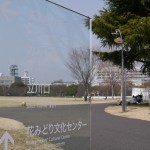 国営昭和記念公園