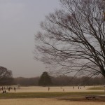 国営昭和記念公園